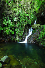 Image showing cascade in forest