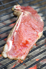 Image showing thin sliced shell steaks