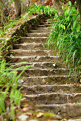 Image showing stone stair outdoor