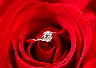 Image showing rose with ring