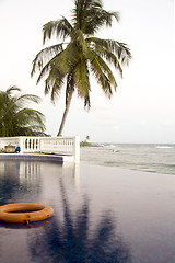 Image showing infinity swimming pool Corn Island Nicaragua