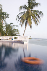 Image showing infinity swimming pool Corn Island Nicaragua
