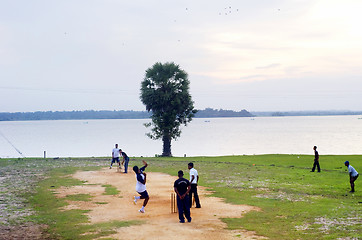 Image showing Cricket in Sri Lanka