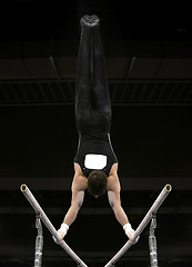 Image showing Gymnast doing handstand on parallel bars