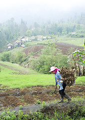 Image showing Indonesian village