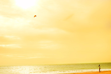 Image showing Boy playing wtih flying kite