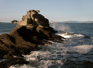 Image showing Wild ocean-scape