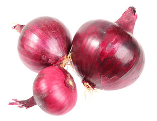 Image showing Three a purple fresh onions