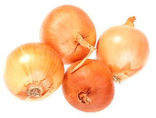 Image showing Four a orange fresh onions