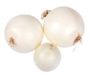 Image showing Three a white fresh onions