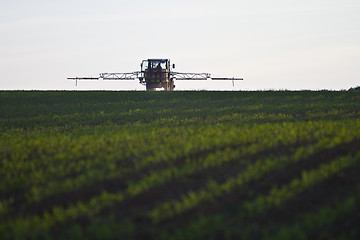 Image showing tractor with pesticide on field