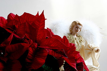 Image showing angel and poinsettias