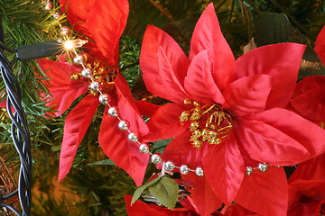 Image showing poinsettia and beads