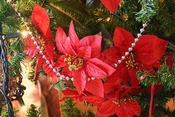 Image showing poinsettia and beads on the tree