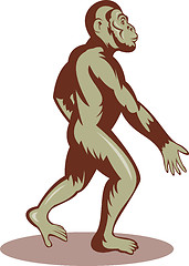 Image showing Prehistoric man or ape walking upright