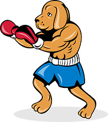Image showing boxer dog with gloves