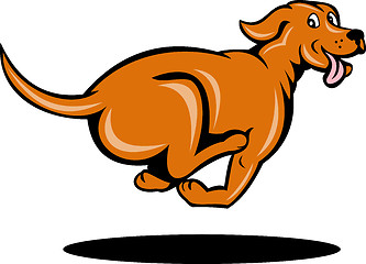 Image showing dog running viewed from side