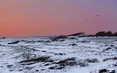 Image showing Moelen Norway