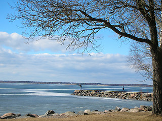 Image showing Spring Beach