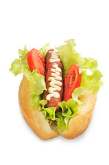 Image showing Tasty and delicious hotdog