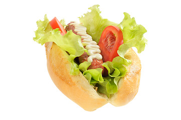 Image showing Tasty and delicious hotdog