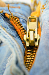 Image showing Zipper on  jeans