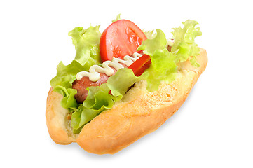 Image showing Tasty and delicious hotdog