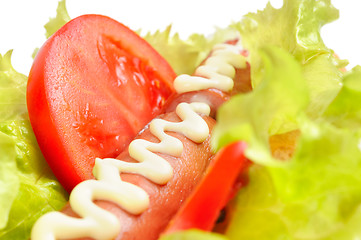 Image showing Tasty and delicious hotdog