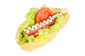 Image showing Tasty and delicious hotdog