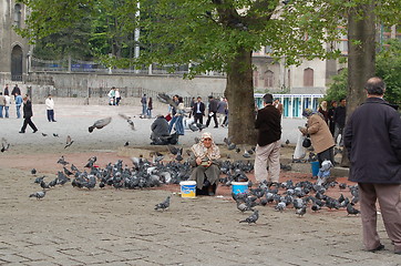 Image showing Pigeon woman