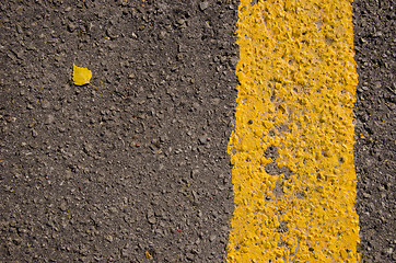 Image showing Asphalt closeup yellow road mark small birch leaf 