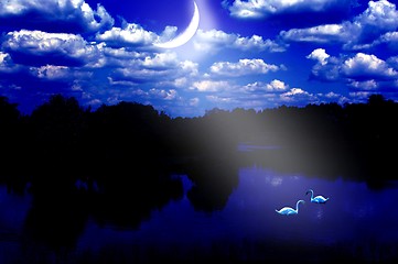 Image showing Swans at a moonlight