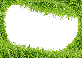 Image showing Green grass isolated on white background