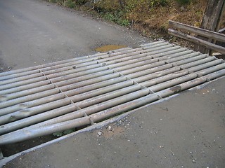 Image showing Cattle grid
