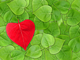 Image showing Abstract Valentine background with leaf