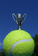 Image showing Tennis Champion