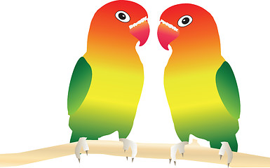 Image showing Lovebirds