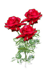 Image showing red roses