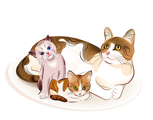 Image showing Cats family. Cat and  two  kittens