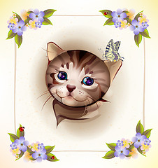 Image showing birthday card with  little tabby kitten and butterfly