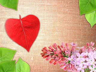 Image showing Valentine background with flowers and leaf