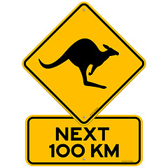 Image showing Kangaroos Next 100 km