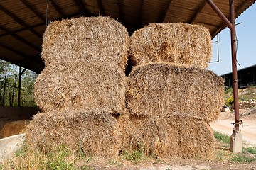 Image showing Haystacks at the agricultural farm stored for animal feed