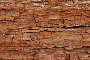 Image showing Texture of cracked rotten wood