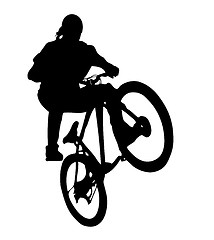 Image showing biker