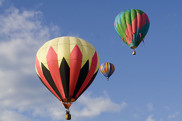 Image showing Colorful Hot Air Balloons