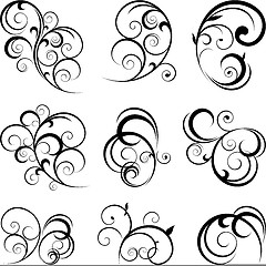 Image showing Swirling flourishes decorative floral elements
