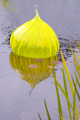 Image showing glass in pond