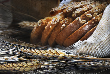 Image showing Wheat