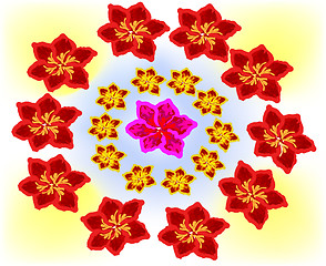 Image showing flowers background